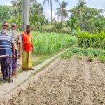 কালিগঞ্জে চলাচলের রাস্তা দখলে অবরুদ্ধ কয়েকশ মানুষ, প্রশাসনের হস্তক্ষেপের দাবি