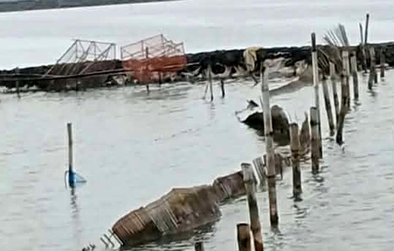 সরকারি ইজারাকৃত আশাশুনির হাড়িয়াখালসহ ৩টি জলমহাল দখল করার অভিযোগ