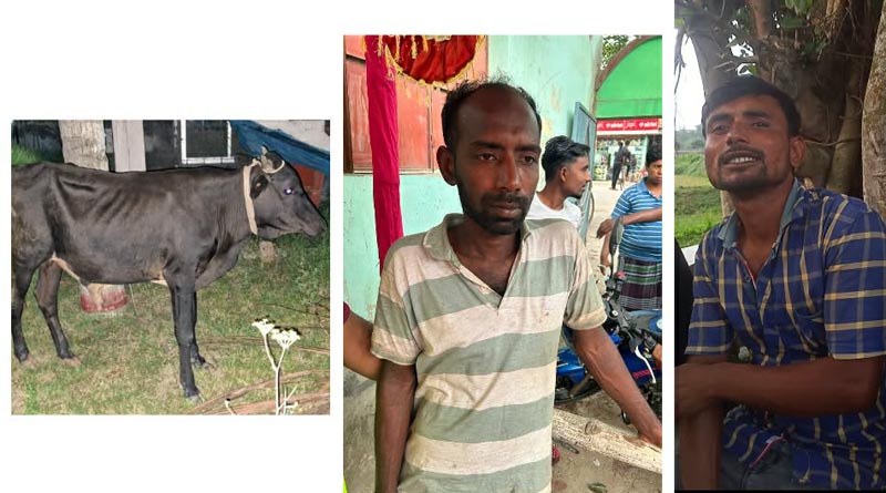 ব্রহ্মরাজপুর পশুর হাটে চোরাই গরু বিক্রির পর পাশ করতে গিয়ে কমিটির হাতে আটক দুই যুবককে পুলিশে সোপর্দ
