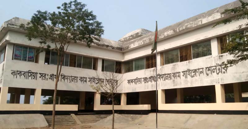 নিয়োগ বিজ্ঞপ্তির আগেই কর্মী নিয়োগে বেতনহীন দুই শতাধিক যুবক: ড্যাফ’র বিরুদ্ধে অনিয়মের অভিযোগ
