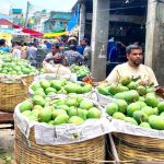 দেশসেরা সুস্বাদু আমে সয়লাব সাতক্ষীরার বাজার: গোবিন্দভোগ প্রতিমণ ১৬০০ টাকা