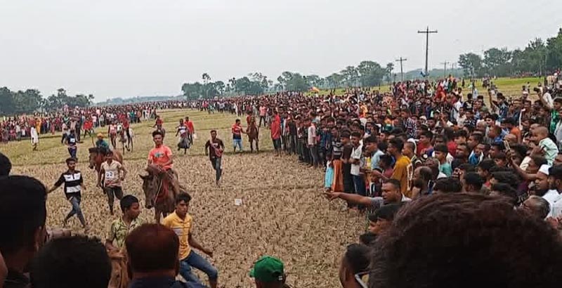 ধুলিহরে গ্রাম বাংলার ঐতিহ্যবাহী ঘোড়দৌড় প্রতিযোগিতা ও পুরস্কার বিতরণ : হাজারো জনতার ঢল
