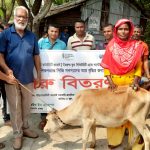 শ্যামনগরের গাবুরাতে পরিবারে আয় বৃদ্ধি করতে ১৪ জনকে গরু বিতরণ
