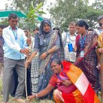 উপকূলের পরিবেশ পুনরুদ্ধারে শ্যামনগরে ১০ লাখ বীজ রোপণ উদ্যোগ
