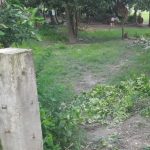 ‍কালই জমি দখল নেব, কত ক্ষমতা আছে ঠেকাস : অবসরপ্রাপ্ত ব্যাংক কর্মকর্তাকে প্রাণনাশের হুমকি