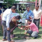 আশাশুনিতে বৃক্ষরোপণ অভিযানের শুভ উদ্বোধন