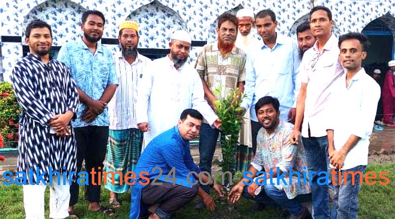 সাতক্ষীরার প্রাক্তন রোভার স্কাউটদের সংগঠন স্বপ্নসিঁড়ির বৃক্ষরোপন