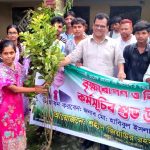 দলুয়া শহীদ জিয়াউর রহমান কলেজে বৃক্ষরোপণ ও চারা বিতরণ করলেন জেলা পরিষদ প্রশাসক হাবিব