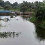 খাল দখল ও নেটপাটায় পানিপ্রবাহ বন্ধ, ভয়াবহ জলাবদ্ধতায় জনদুর্ভোগপ্রশাসনের জরুরি হস্তক্ষেপ দাবি জেলা নাগরিক কমিটির