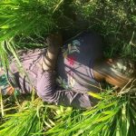 শ্যামনগরে নিখোঁজের চার দিন পর ধানক্ষেত থেকে মনোরঞ্জনের মরদেহ উদ্ধার