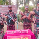 কলারোয়া সীমান্ত থেকে ২ লাখ ১০ হাজার টাকার ভারতীয় ওষুধ জব্দ
