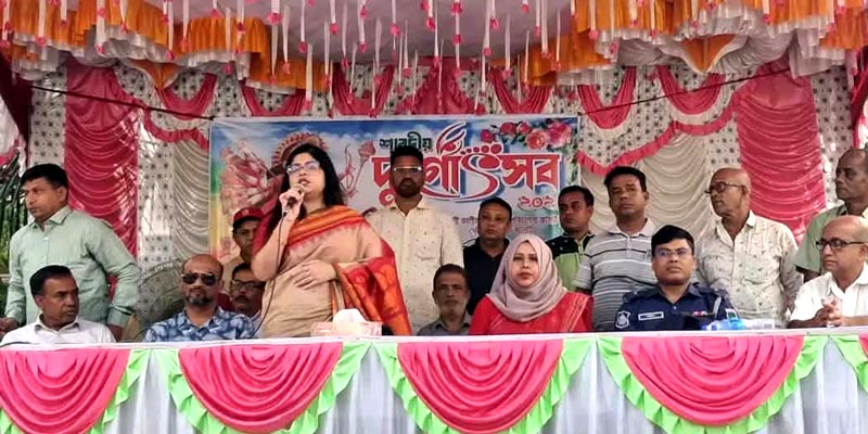 কালিগঞ্জে বিভিন্ন পূজামন্ডপ পরিদর্শন করলেন জেলা প্রশাসক মিজ কাওছার আজিজ