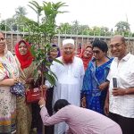 আশাশুনিতে জাতীয়তাবাদী মহিলা দলের কর্মী সমাবেশ ও বৃক্ষ রোপন